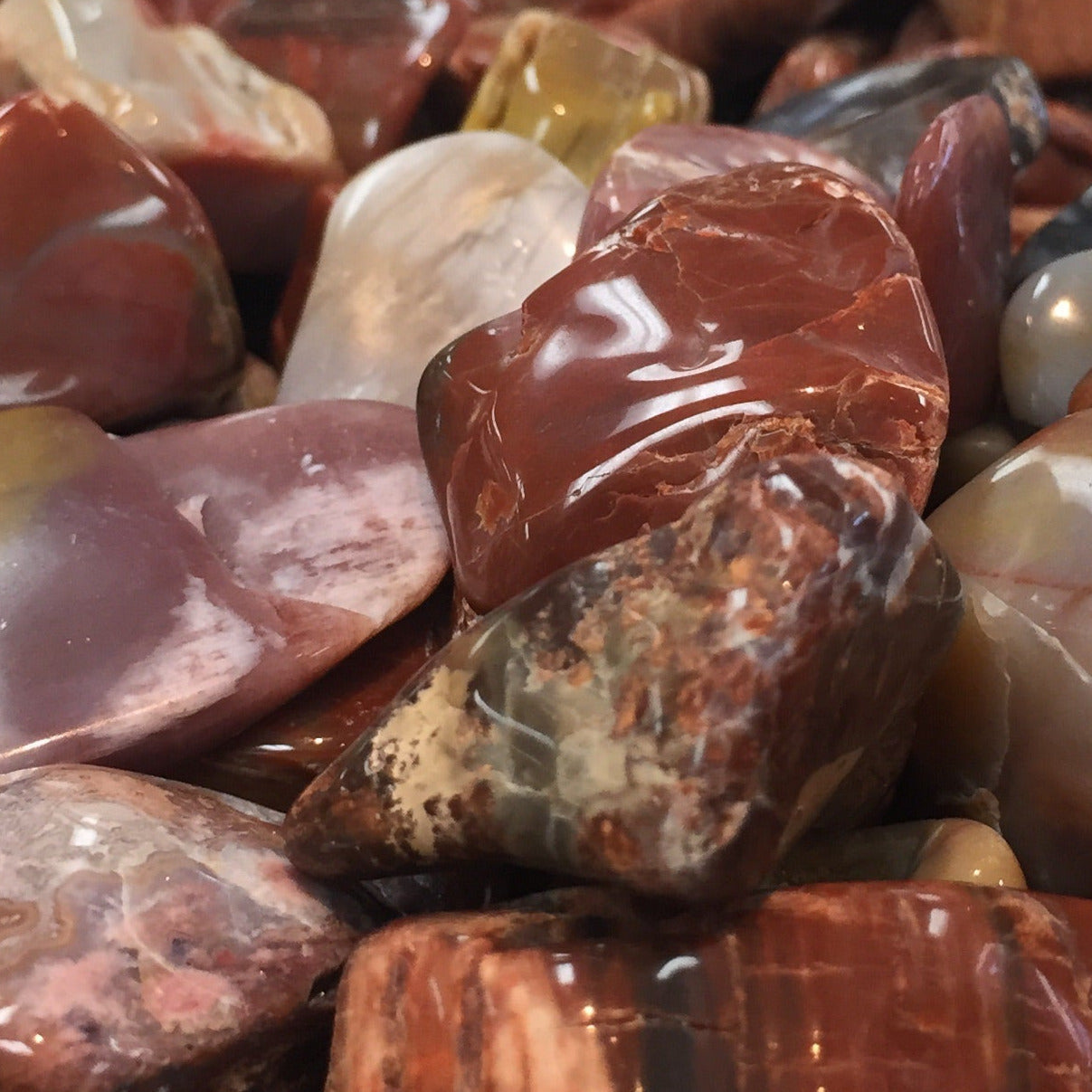 Polished Arizona Petrified Wood Tumbled stones in reddish-brown and cream colors