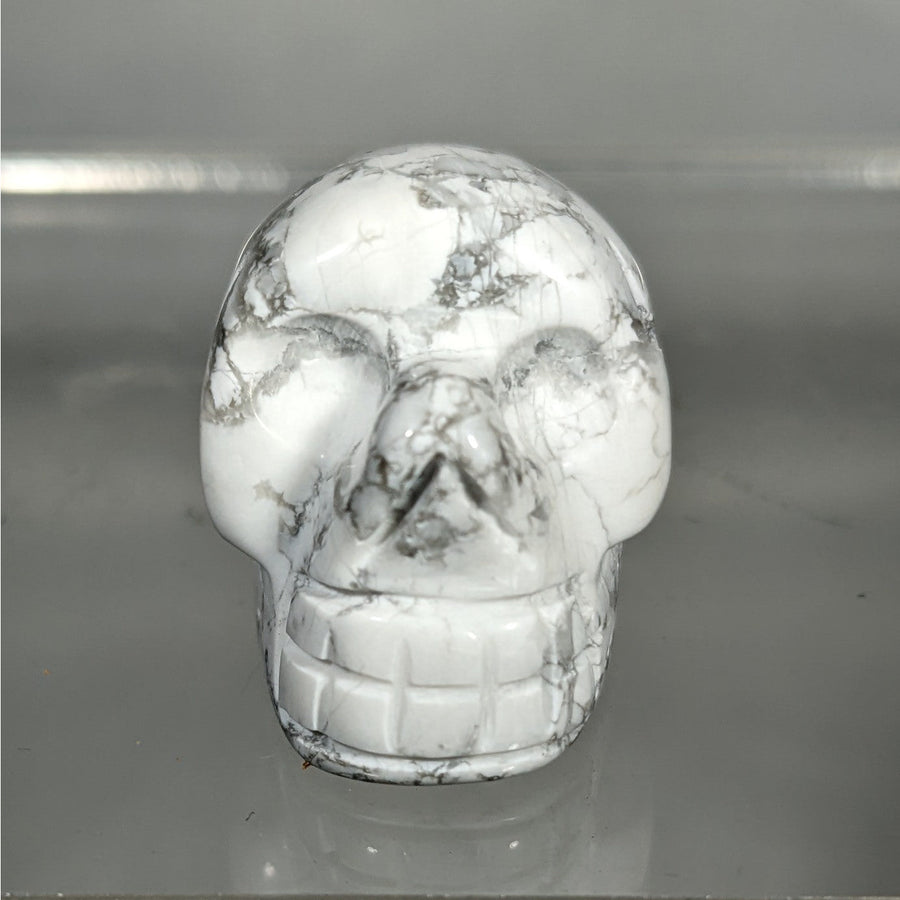 Assorted Crystal Skull #C076 - Howlite - $12.95
