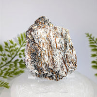 Astrophyllite 2.7’’ half polished specimen with white, black, golden-brown striations on acrylic stand