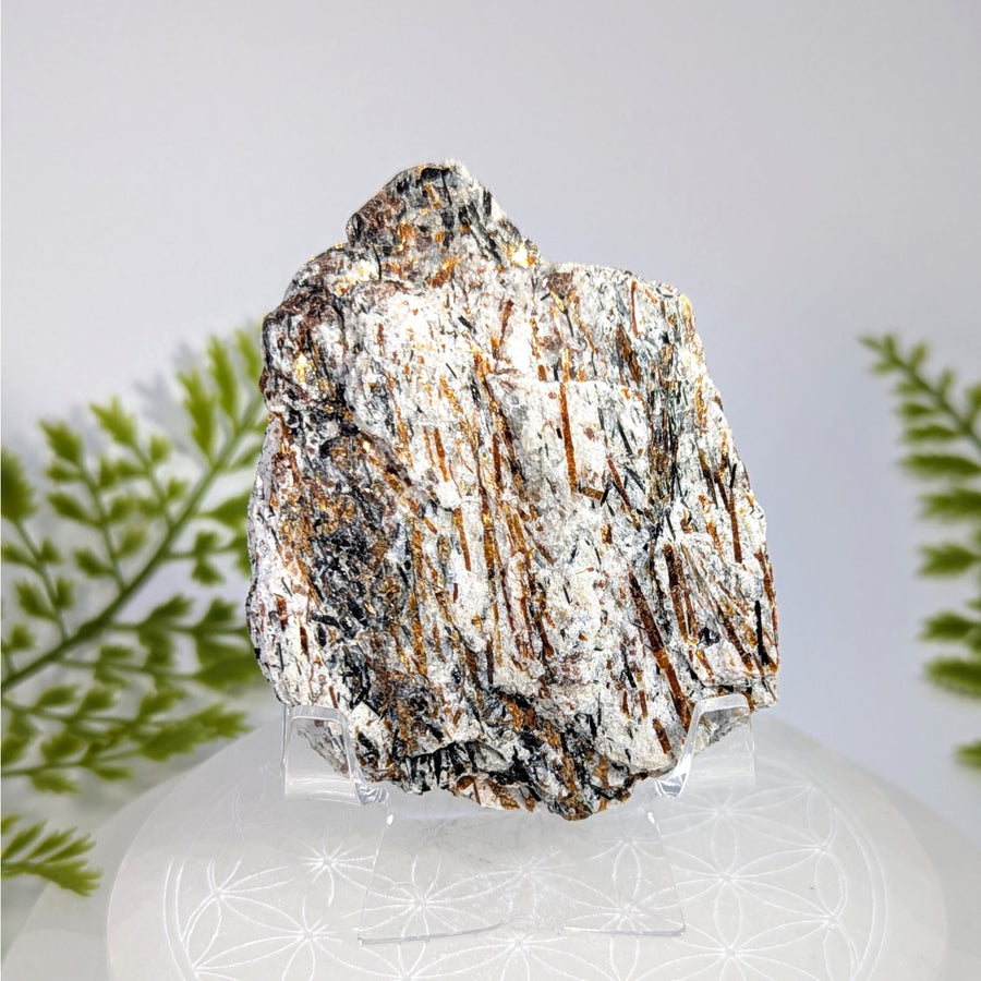Astrophyllite 2.7’’ half polished specimen with white, black, golden-brown striations on acrylic stand