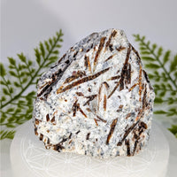 Astrophyllite 3’’ half polished specimen with golden-brown inclusions on clear base