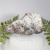 Astrophyllite 4’’ half polished specimen with needle-like inclusions on stand