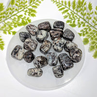 Polished astrophyllite tumbled stone 0.8-1.11in #BC1269 on quartz plate