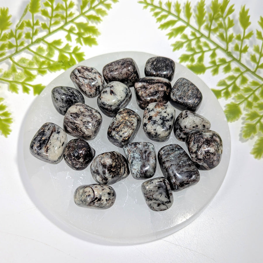 Polished astrophyllite tumbled stone 0.8-1.11in #BC1269 on quartz plate
