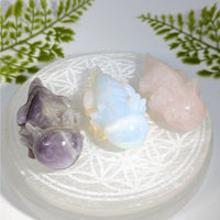 Three axolotl crystal carvings: amethyst, opal, rose quartz on plate, 2.6’’ #BC0636
