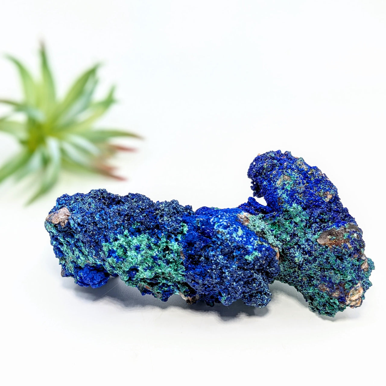 Vibrant blue and turquoise Azurite 1’’ rough specimen with stunning crystalline formations