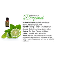 Thumbnail for Bergamot essential oil with bergia leaves and lime on Bergamot Essential Oil Info Card #Q068