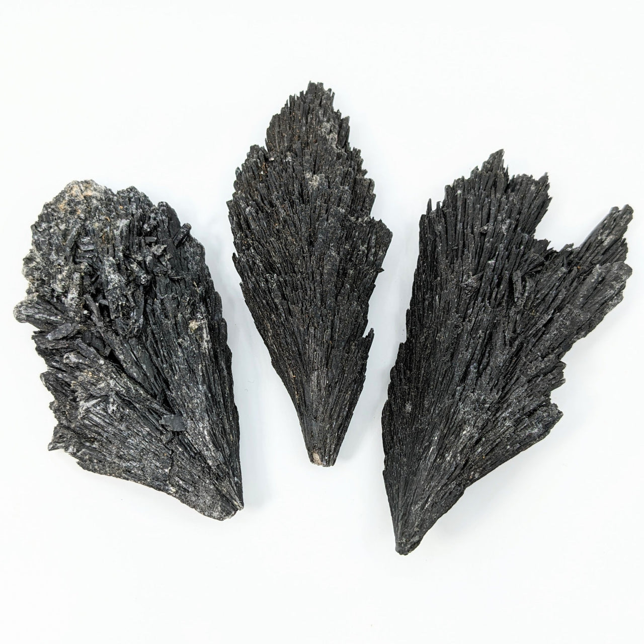 Black Kyanite 2-5’ Rough Stone #LV2425 - Three Black Quartz Crystals on White Background