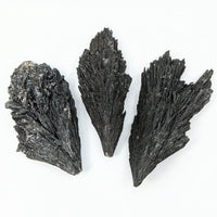 Thumbnail for Black Kyanite 2-5’ Rough Stone #LV2425 - Three Black Quartz Crystals on White Background