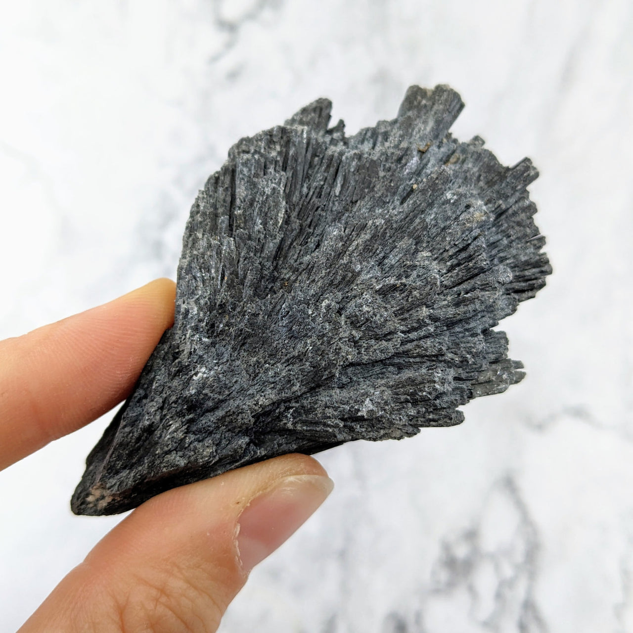 Hand holding a piece of Black Kyanite, 2 - 5’ Rough Stone, Product #LV2425