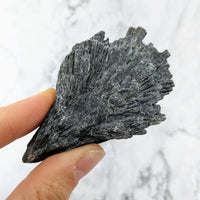 Thumbnail for Hand holding a piece of Black Kyanite, 2 - 5’ Rough Stone, Product #LV2425