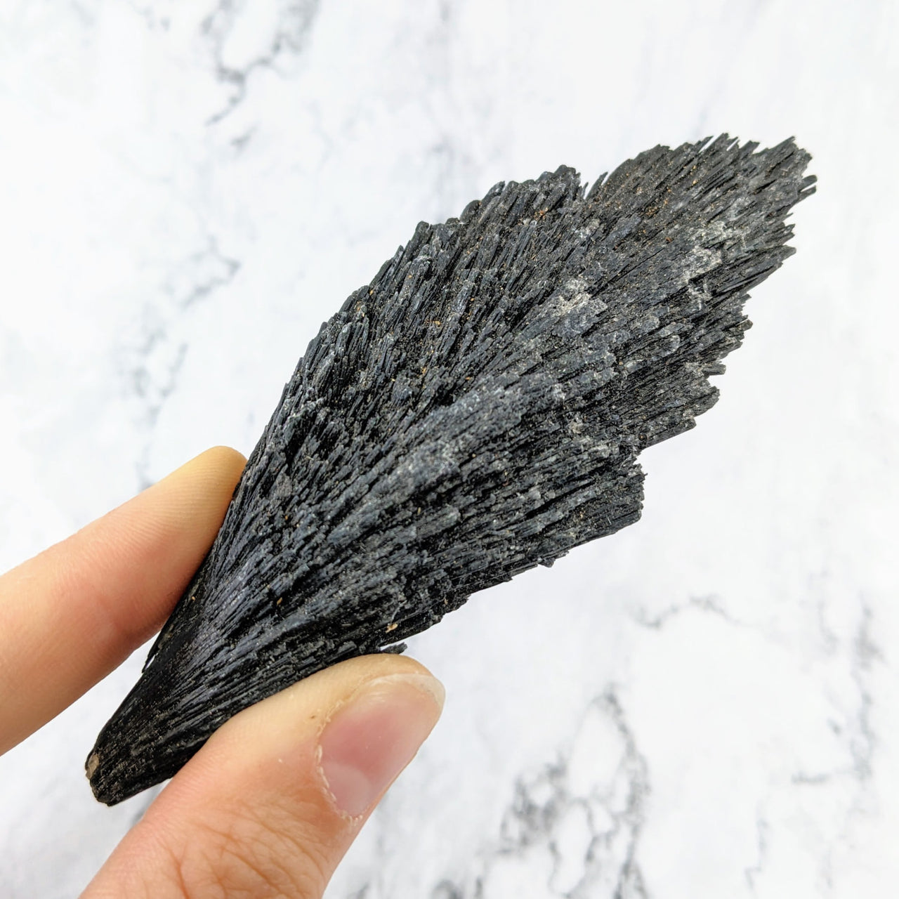 Hand holding black seaweed near Black Kyanite 2-5’ Rough Stone #LV2425