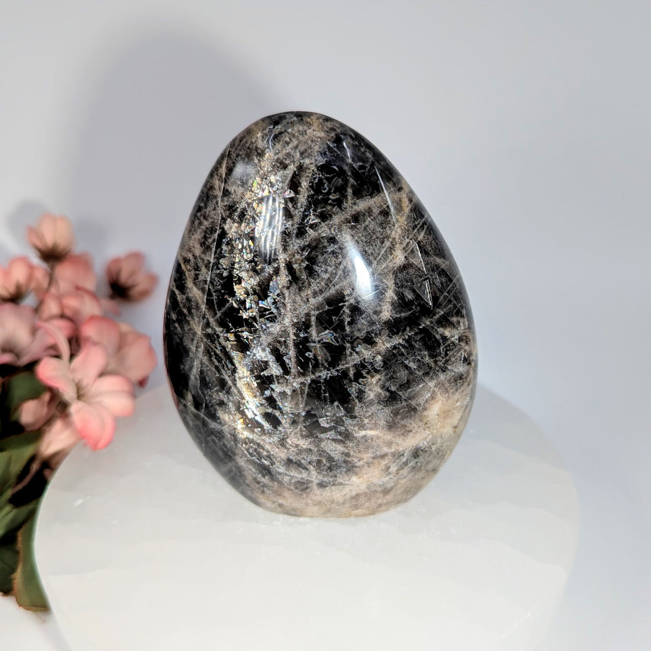 Polished black moonstone 3.5-inch freeform crystal egg #BC0651
