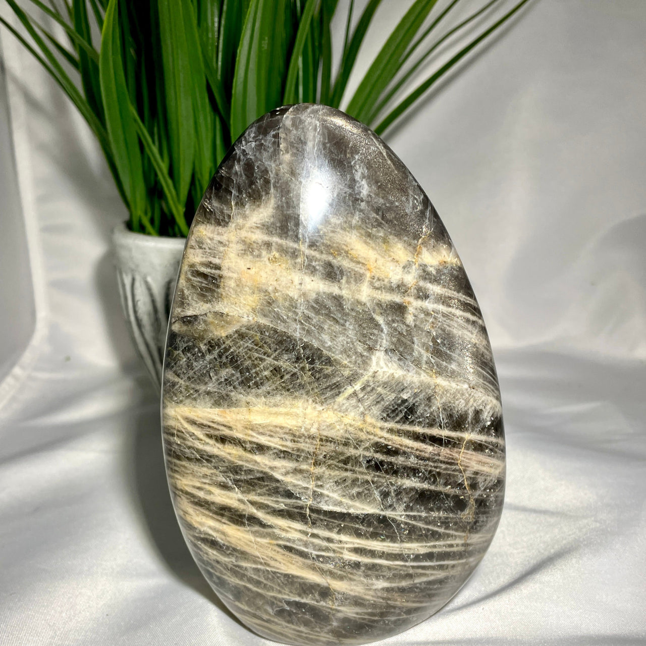 Large Black and White Marble Egg - Black Moonstone Freeform 5.5’ (985g) #M010