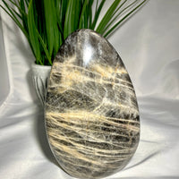 Thumbnail for Large Black and White Marble Egg - Black Moonstone Freeform 5.5’ (985g) #M010