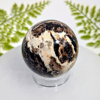 Polished 2-inch Black Opal sphere #BC1032 with dark brown cream swirls