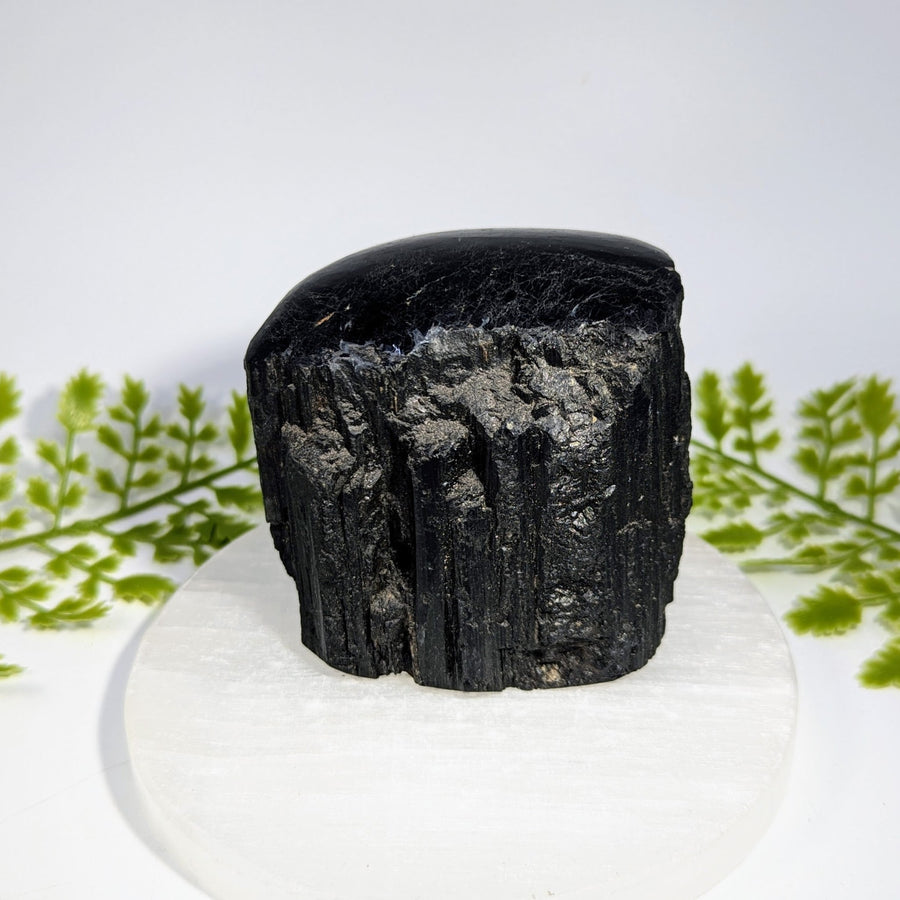 Black Tourmaline 2.9" Top Polished Specimen #BC1490