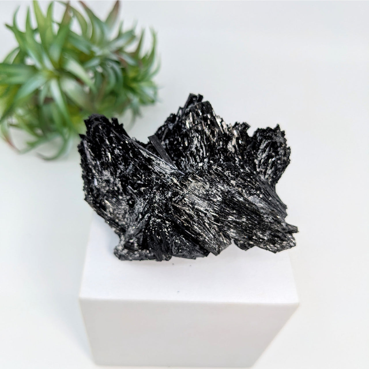 Black Tourmaline 3.2’’ Raw & Natural Cluster #LV5861 - $80