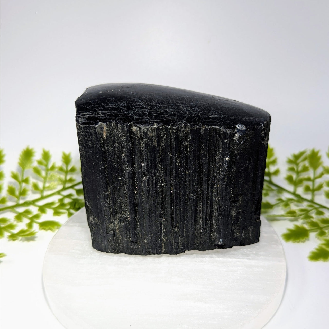 Black Tourmaline 3.4" Top Polished Specimen #BC1489
