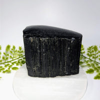 Black Tourmaline 3.4