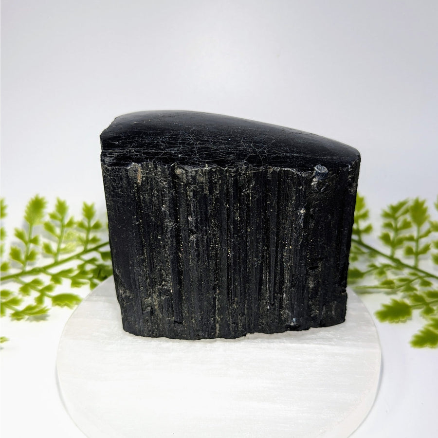 Black Tourmaline 3.4" Top Polished Specimen #BC1489