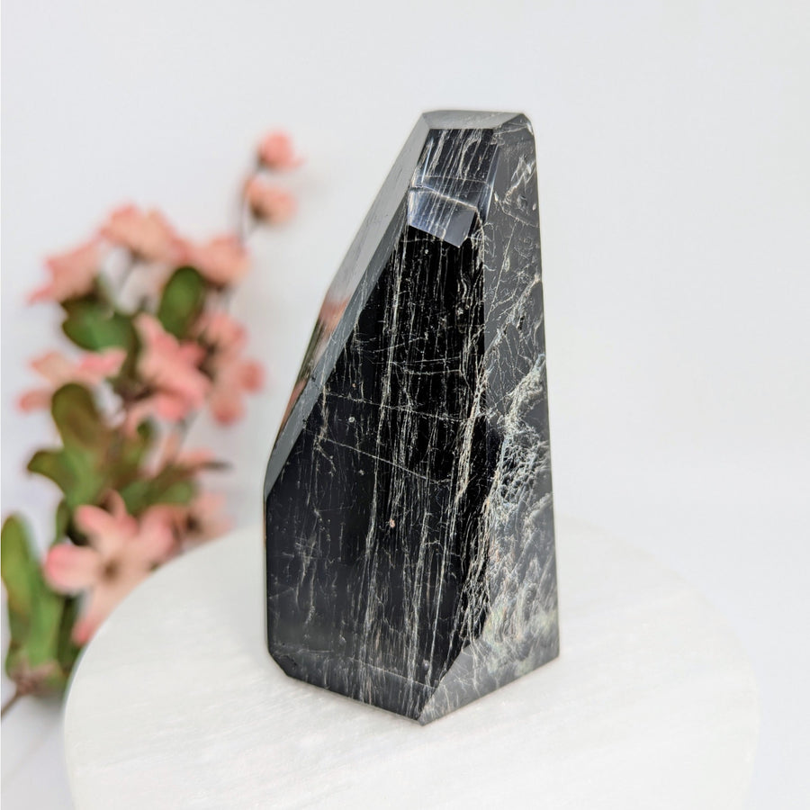 Polished black tourmaline obelisk from Black Tourmaline 3.5-inch Geo Freeform #LV8095
