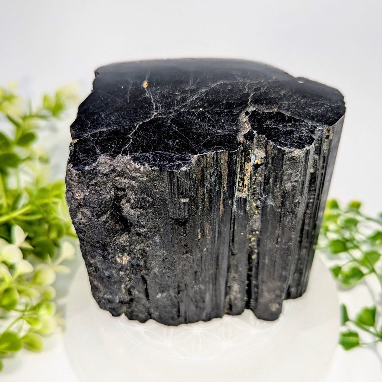Black tourmaline 3.8 inch rough top polished specimen with textured surface and vertical striations #BC1354