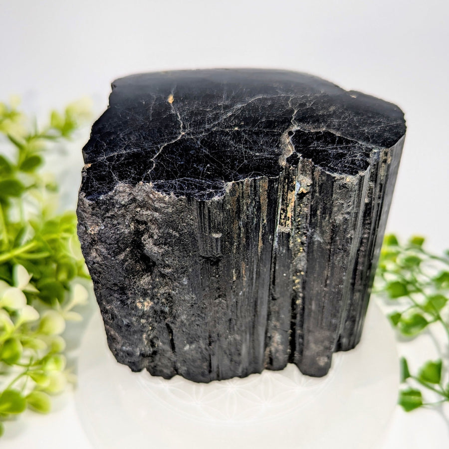 Black tourmaline 3.8 inch rough top polished specimen with textured surface and vertical striations #BC1354