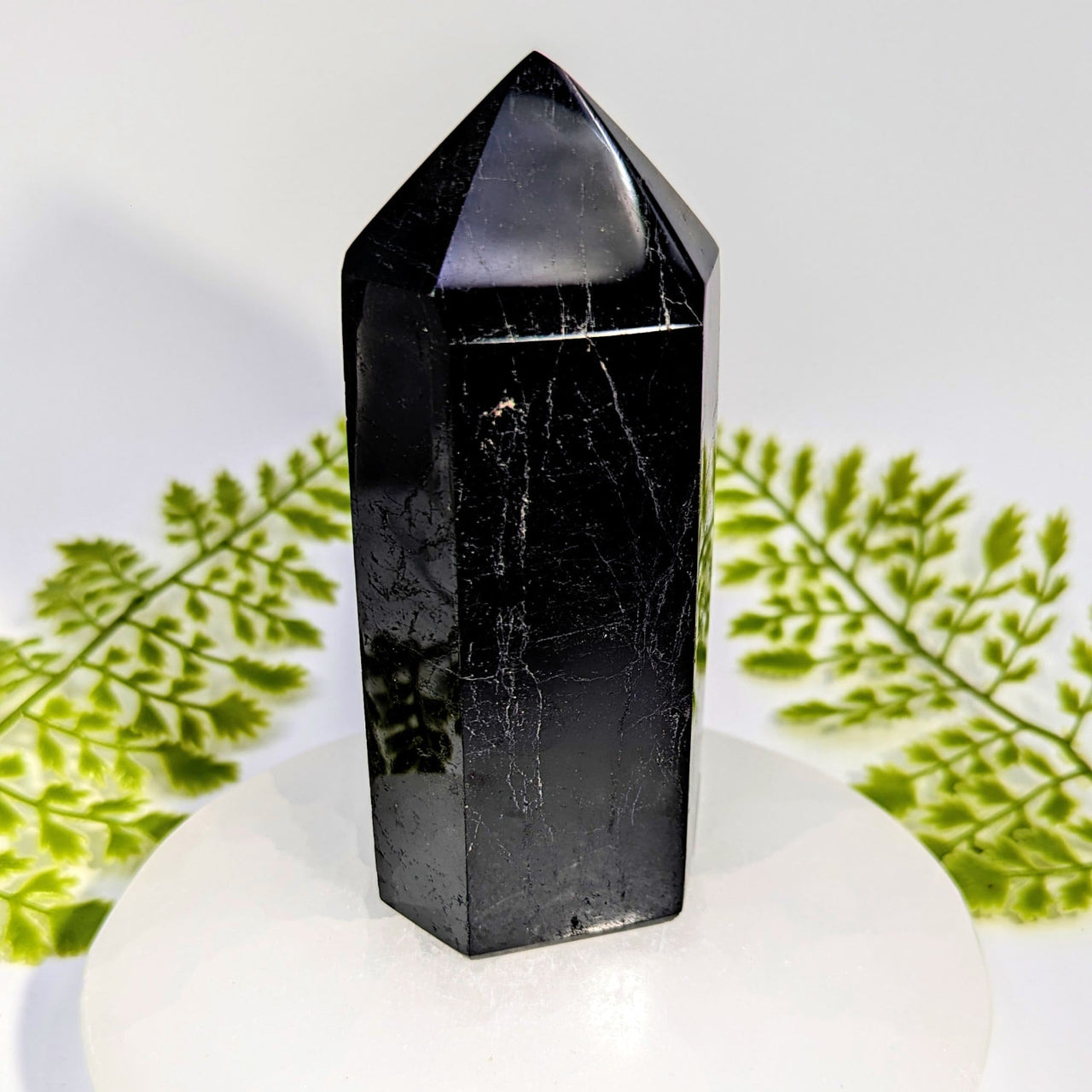 Polished black tourmaline 4.75-inch tower #BC1043 with white veining