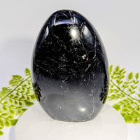Polished 5-inch black tourmaline freeform egg #BC1044 with white veining