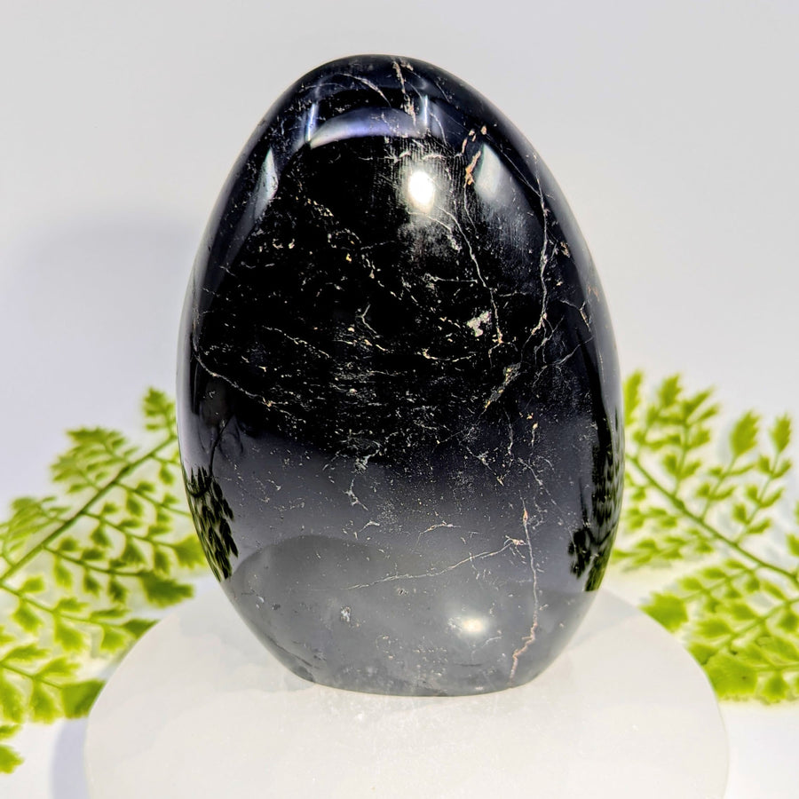 Polished 5-inch black tourmaline freeform egg #BC1044 with white veining