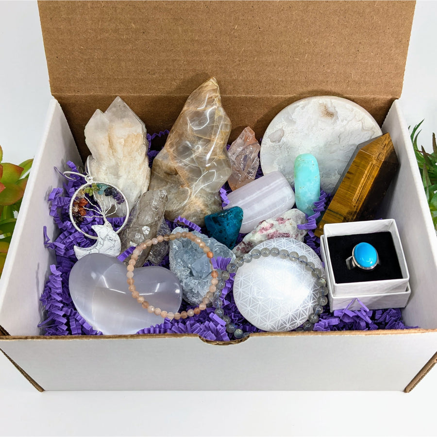 Bliss Box Tucson Gem Show 2026 mystery box with raw and polished crystals
