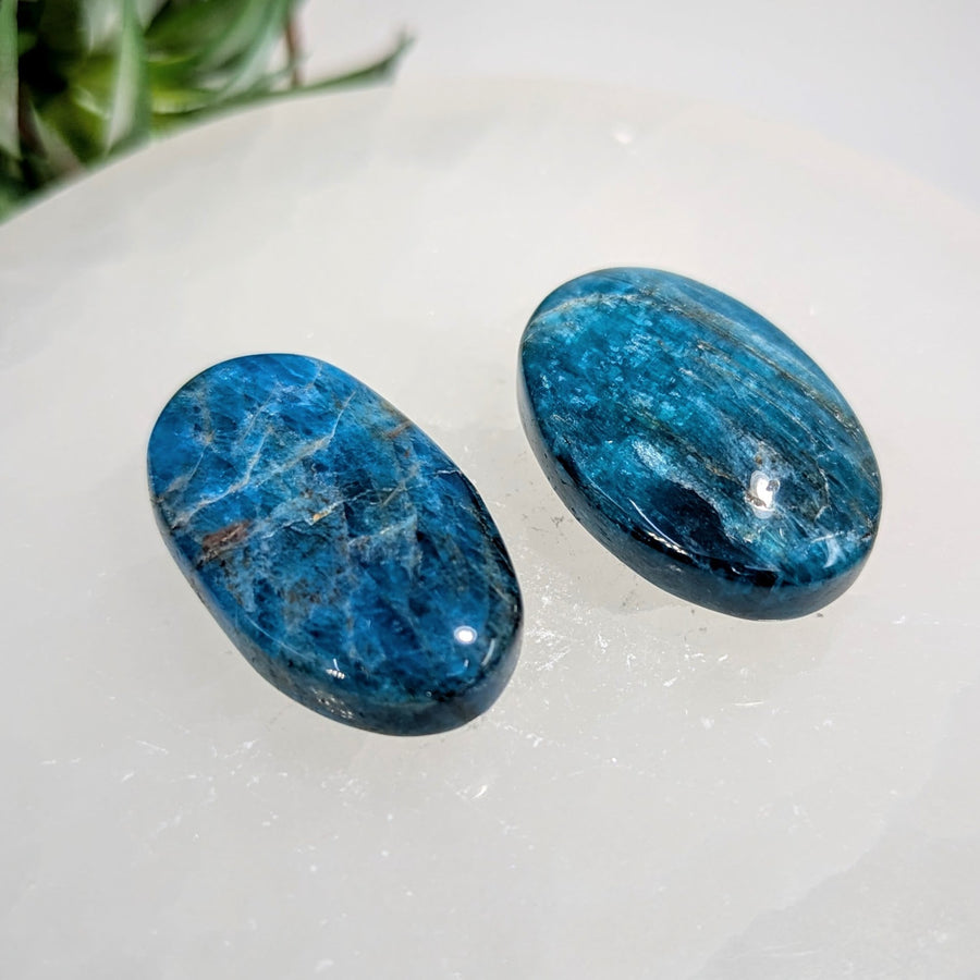 Blue Apatite 1.4’’ - 1.5’’ Small Palmstone #LV9206 - $10