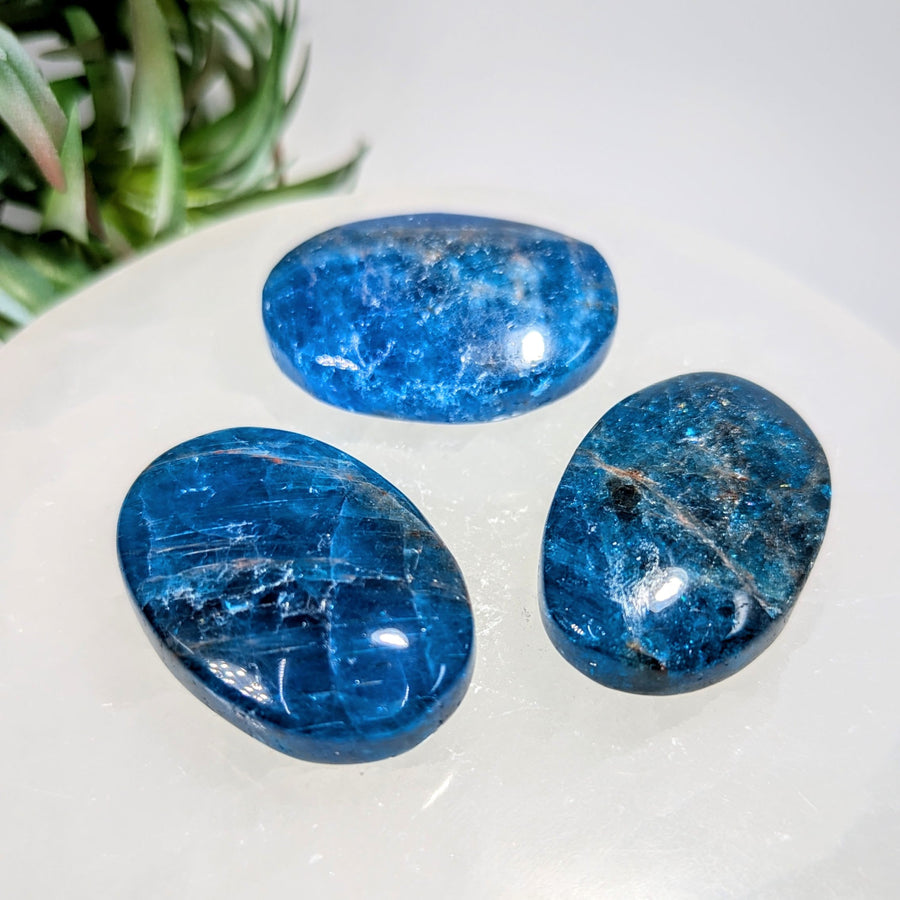 Blue Apatite 1.7’’ Medium Palmstone #LV9209 - $15
