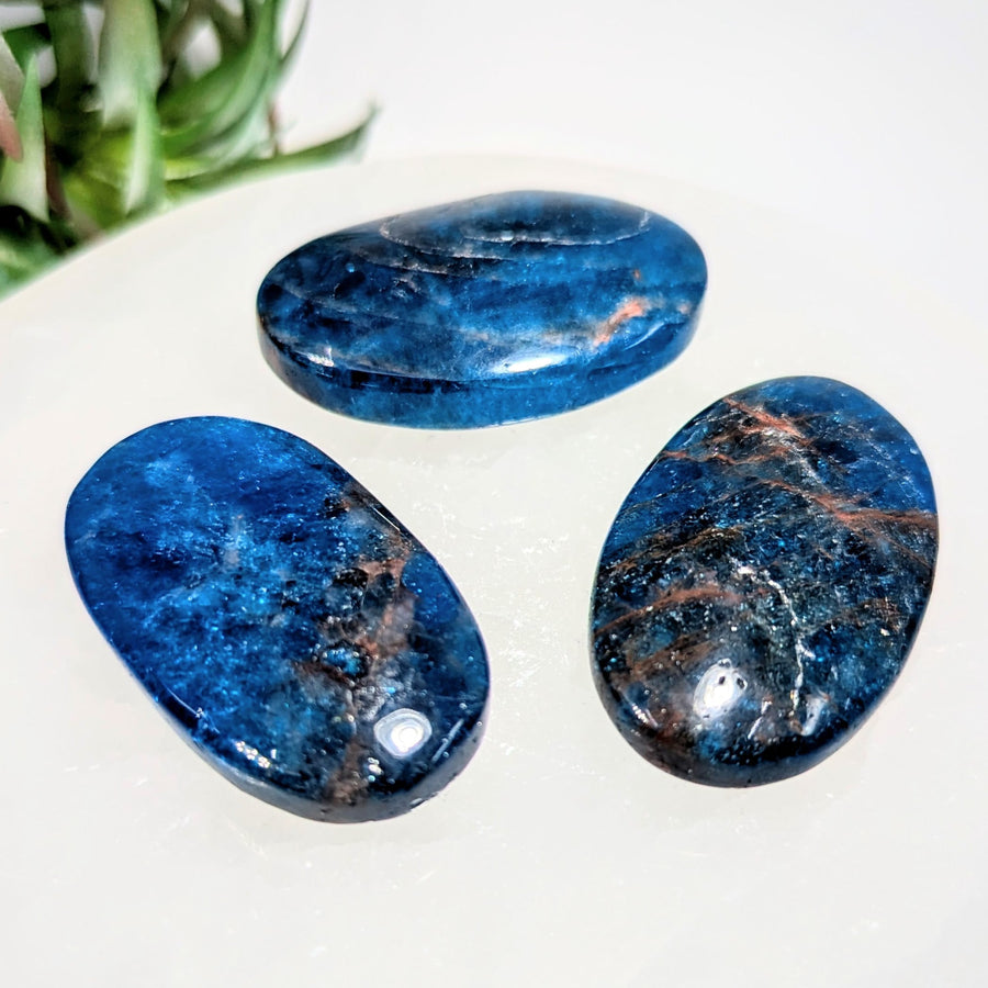 Blue Apatite 1.8’’ Medium Palmstone #LV9208 $16