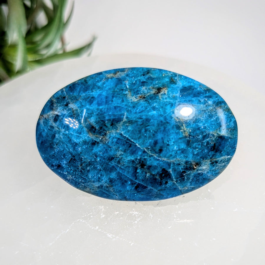 Blue Apatite 2.22’’ Large Palmstone #LV9213 - $32