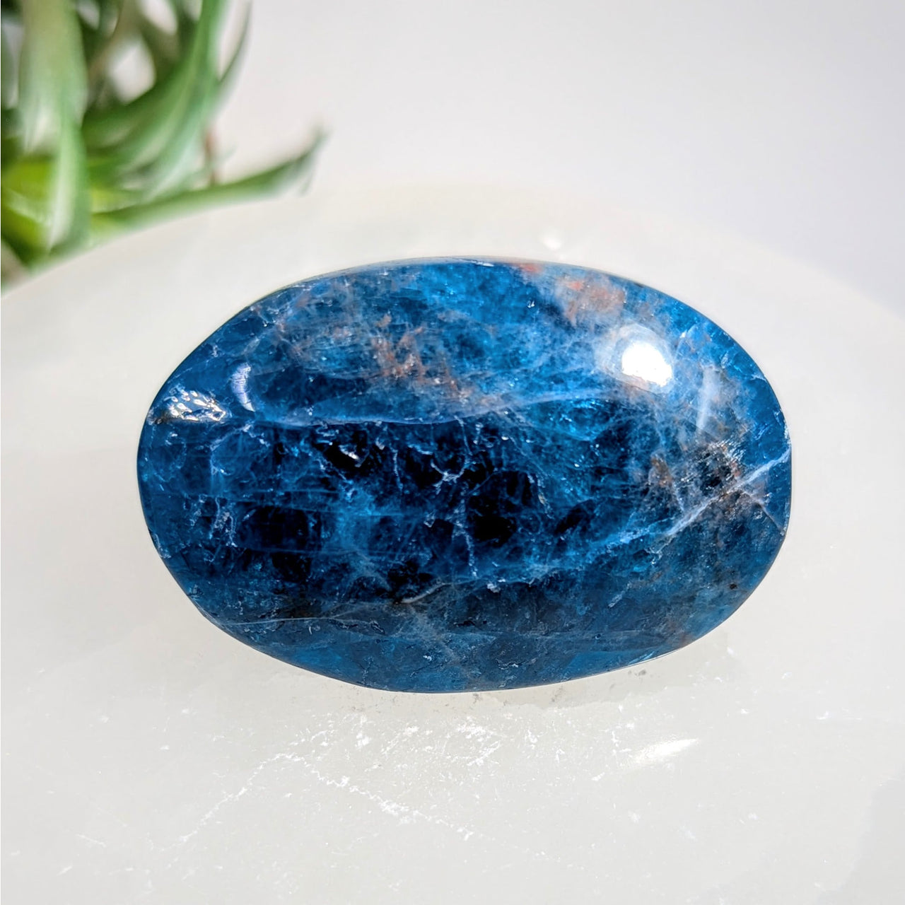 Blue Apatite 2’’ Large Palmstone #LV9212 - $26