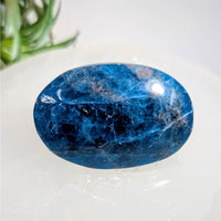 Blue Apatite 2’’ Large Palmstone #LV9212 - $26