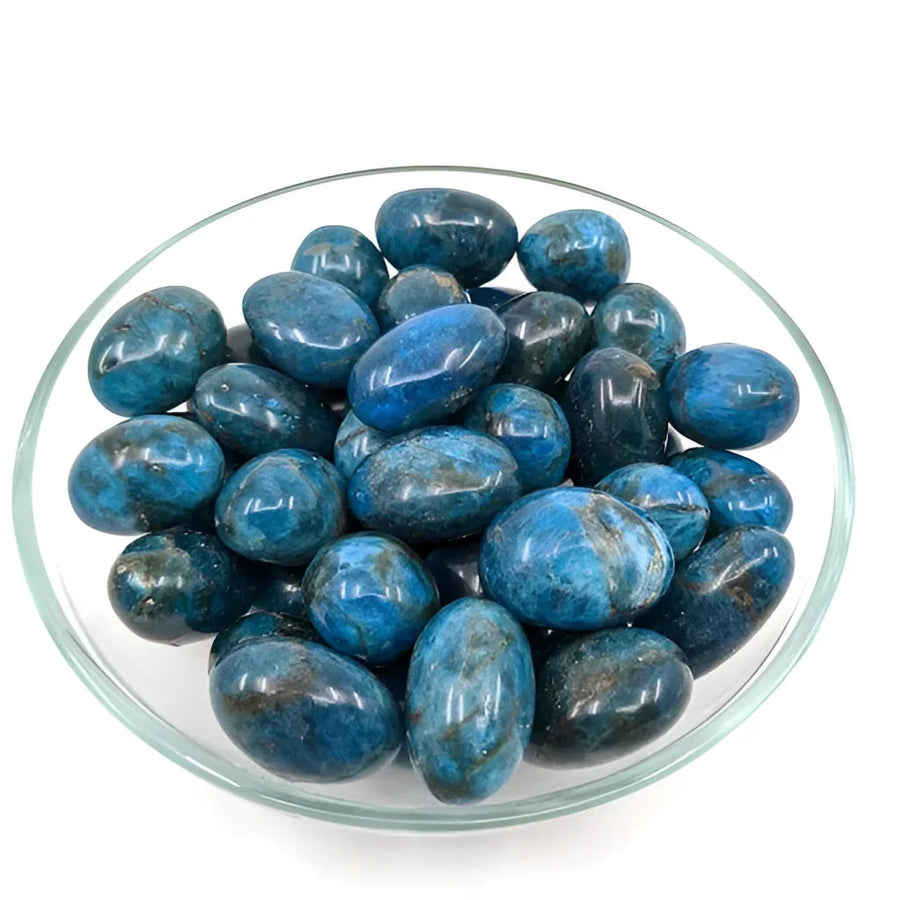 1 Blue Apatite Grade AAA Tumbled #SK6313