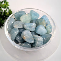 Blue green aventurine tumbled stones 0.7-1.1 inches in glass bowl