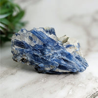 Thumbnail for Blue Kyanite 4.4’ Rough Specimen #LV4018 on white marble surface