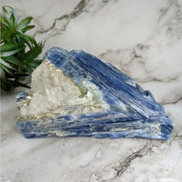 Thumbnail for Blue kyanite 5.7’ rough specimen #LV4019 with blue and white quartz and small quartz piece