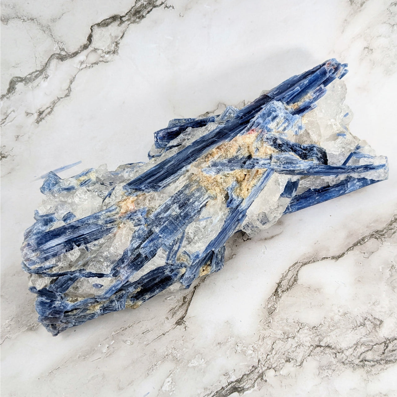 Blue Kyanite 9.3’ Rough Specimen #LV4115: Blue and white marble slab with gold leaf detailing