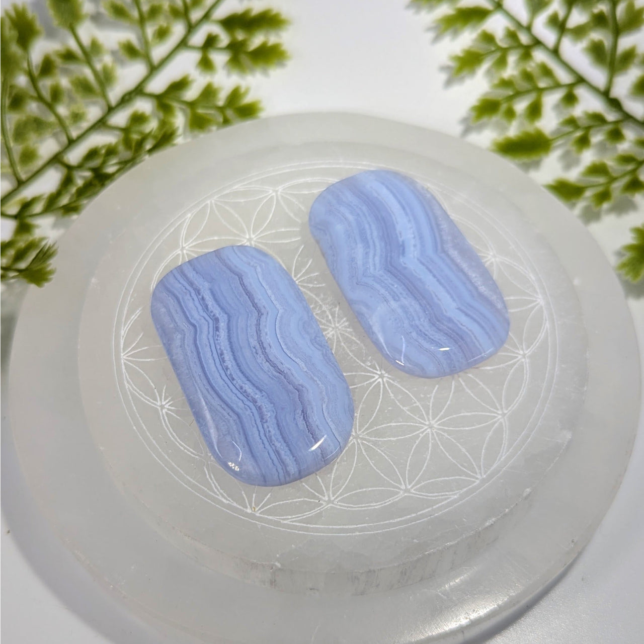 Blue lace agate 2-inch palm stones #BC0872 on quartz plate