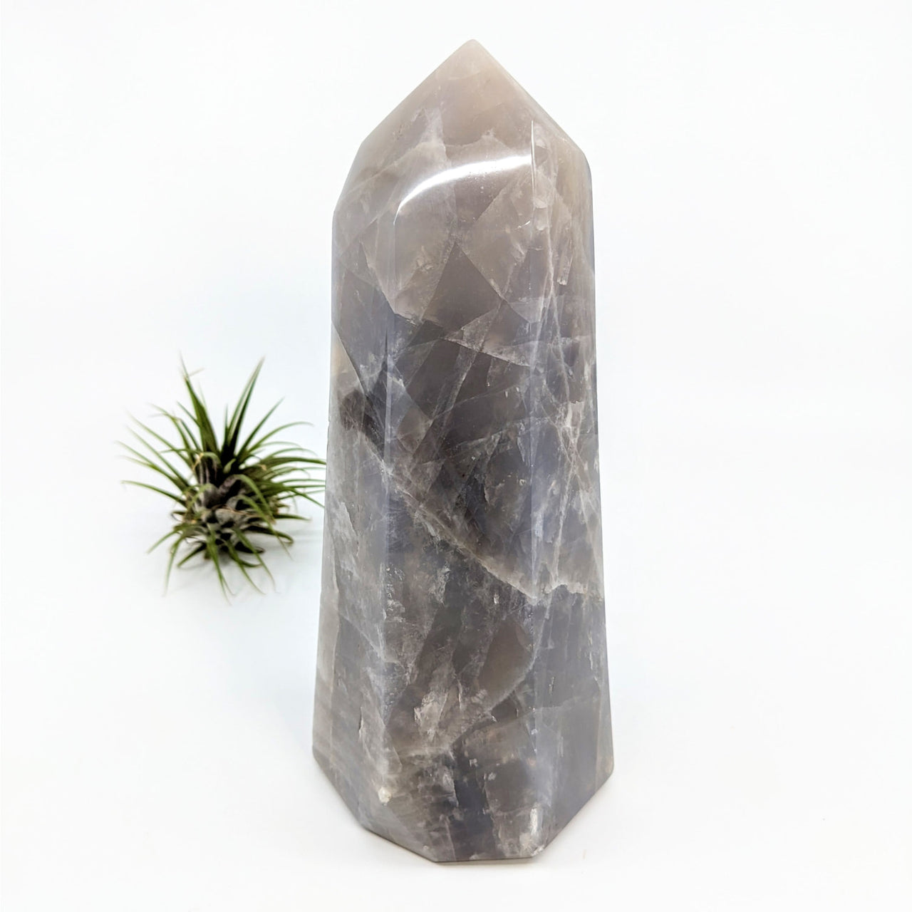 Blue Rose Quartz 7.5’ Generator Tower with air plant, large grey stone, SKU #SK9248