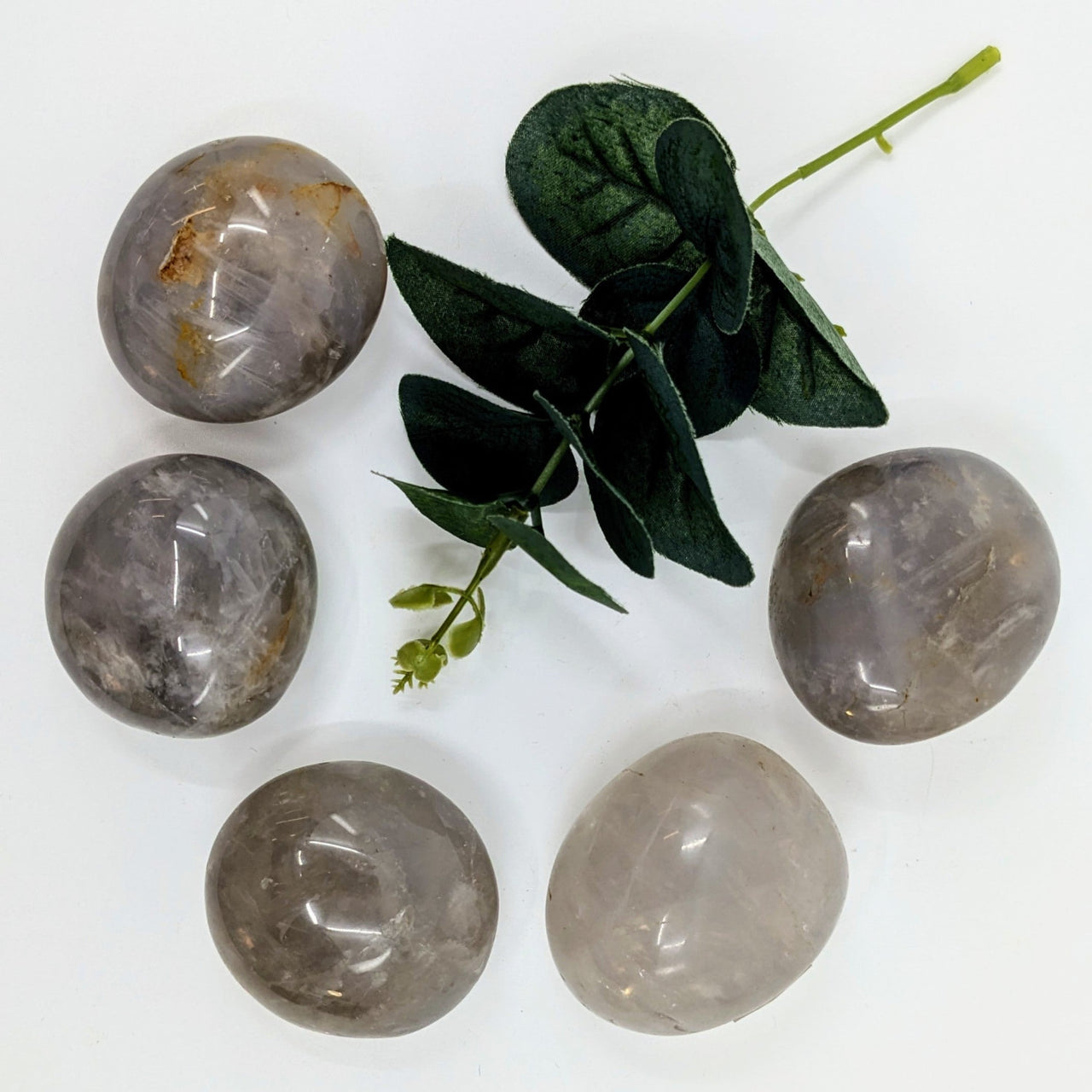 Five polished smoky quartz spheres with eucalyptus beside Blue Rose Quartz Pebble N068