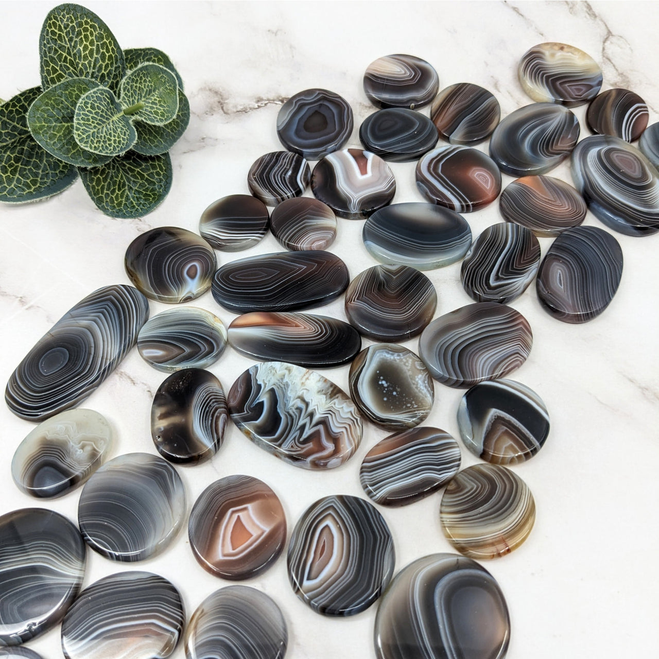 Close-up of flat-shaped black and white Botswana Agate stones 1-2.3’ Round Polished #LV5761