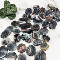 Thumbnail for Close-up of flat-shaped black and white Botswana Agate stones 1-2.3’ Round Polished #LV5761