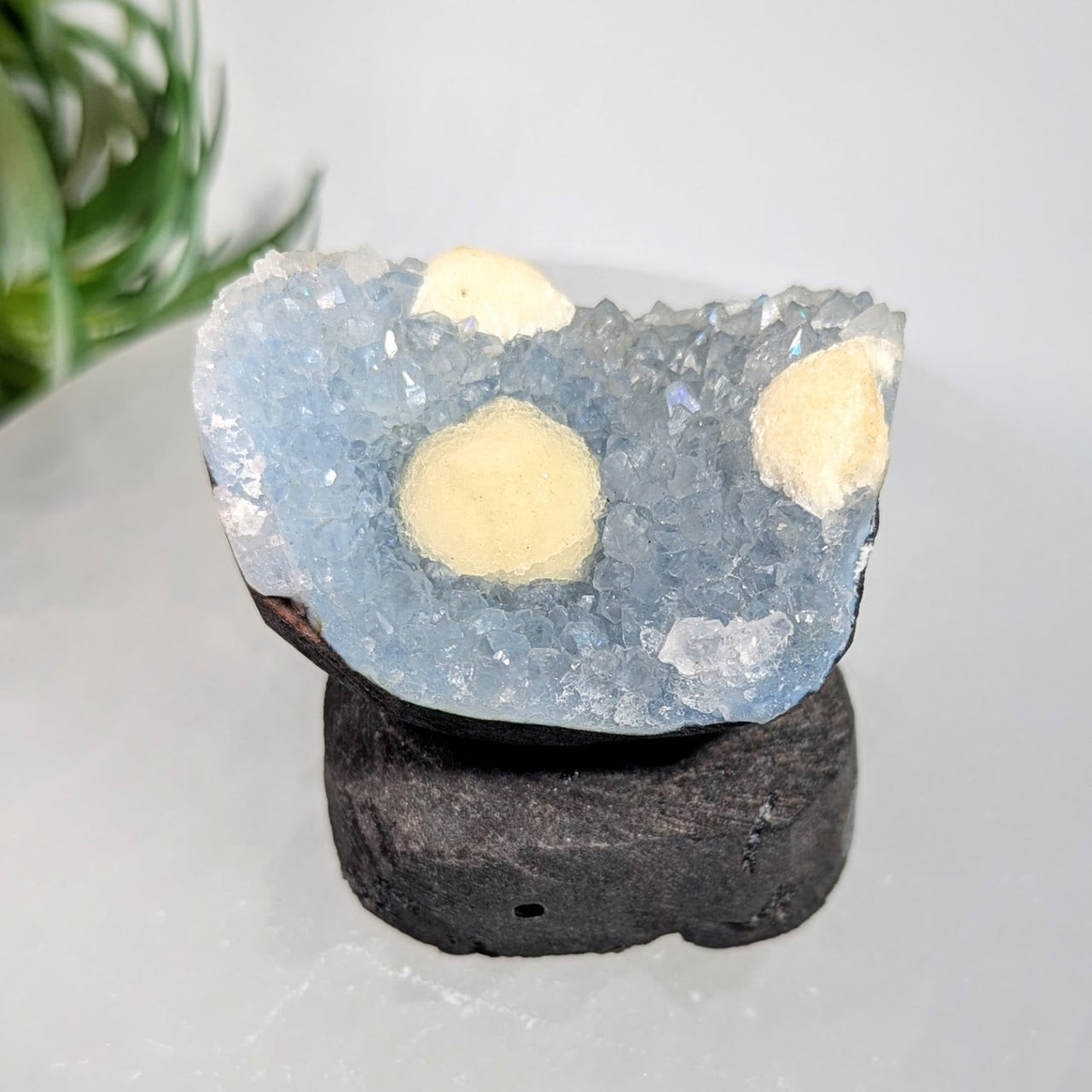 Boytroidal Fluorite ’Egg’ 2.2’’ on Chalcedony Cluster