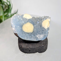 Boytroidal Fluorite ’Egg’ 2.2’’ on Chalcedony Cluster